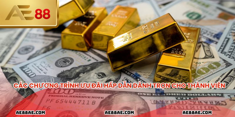 Các chương trình ưu đãi hấp dẫn dành trọn cho thành viên