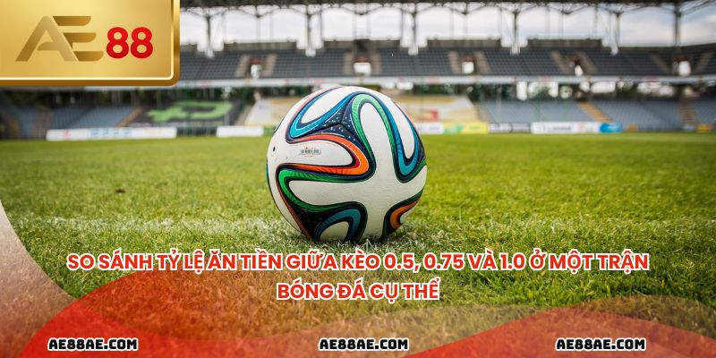 So sánh tỷ lệ ăn tiền giữa kèo 0.5, 0.75 và 1.0 ở một trận bóng đá cụ thể