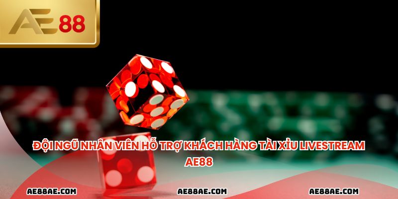 Đội ngũ nhân viên hỗ trợ khách hàng tài xỉu livestream ae88
