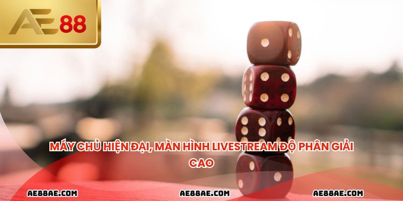 Máy chủ hiện đại, màn hình livestream độ phân giải cao