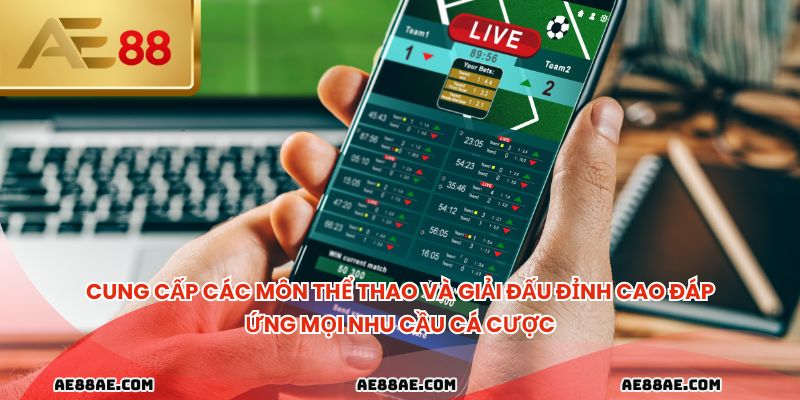 Cung cấp các môn thể thao và giải đấu đỉnh cao đáp ứng mọi nhu cầu cá cược